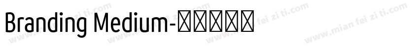 Branding Medium字体转换